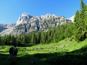 CIMA DI LETEN, CIMA DI VALMORA E CIMA CAMPLANO Sabato 16 giugno 2012 - FOTOGALLERY